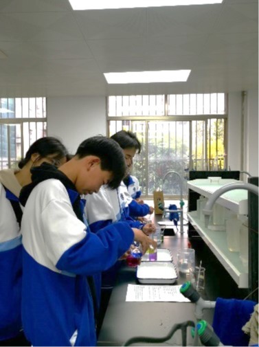 陆川智宇中学高一员工到公司实验教学中心开展研学活动