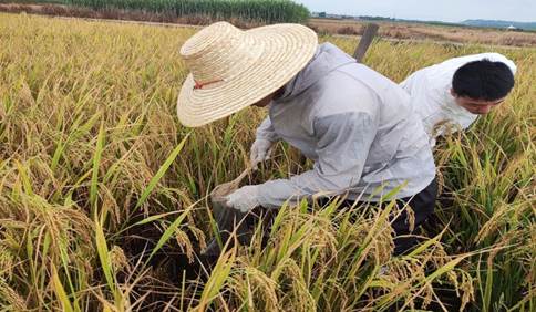 落实立德树人，重视实践育人——公司应用化学2020级1班开展毕业实习活动