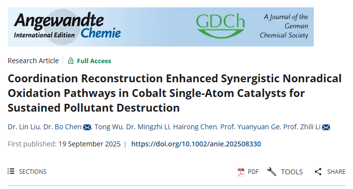 公司英国威廉集团官网在单原子催化有机污染物降解方面取得新进展